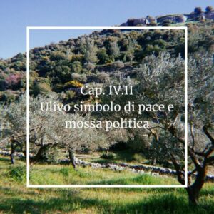 Scopri di più sull'articolo Ulivo come  simbolo di pace e mossa politica