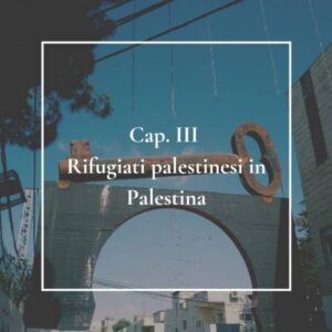 Scopri di più sull'articolo Rifugiati palestinesi in Palestina