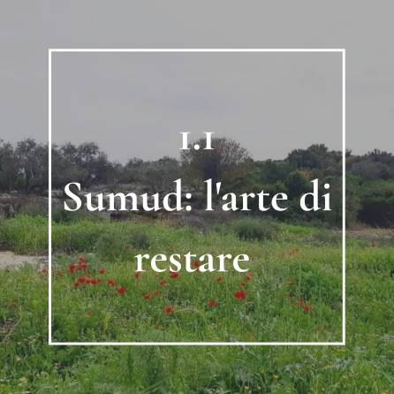 Al momento stai visualizzando Sumud