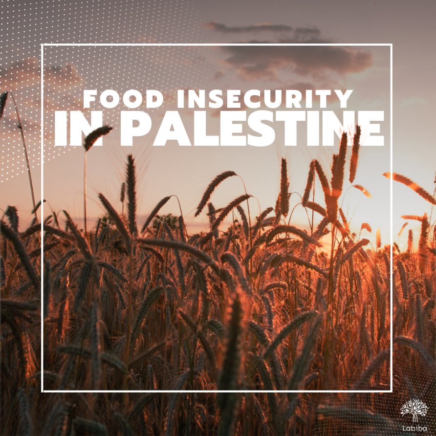 You are currently viewing Food Insecurity in Palestine