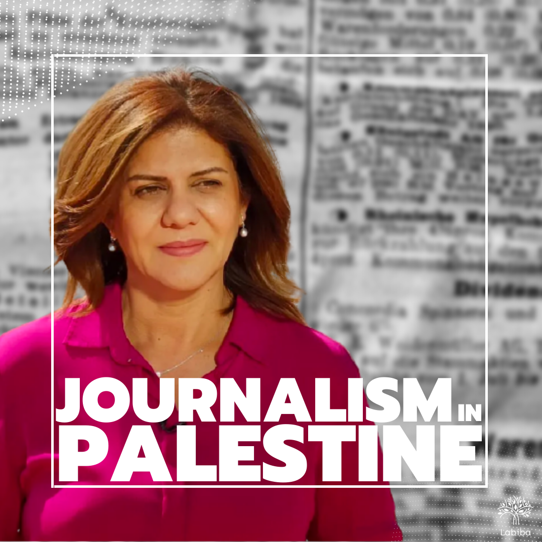Read more about the article Journalism in Palestine￼