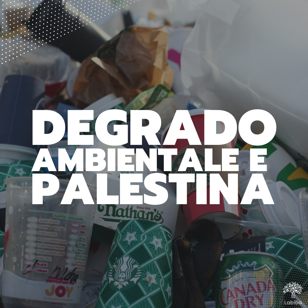 Scopri di più sull'articolo <strong>Degrado Ambientale e Palestina</strong>