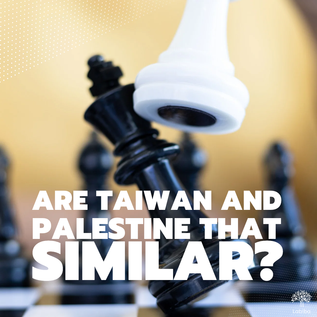 Read more about the article Are Taiwan and Palestine that similar?