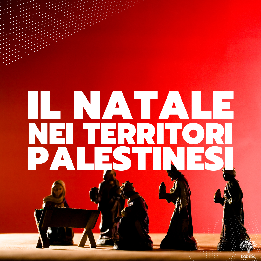 Scopri di più sull'articolo <strong>Il Natale nei territori palestinesi</strong>