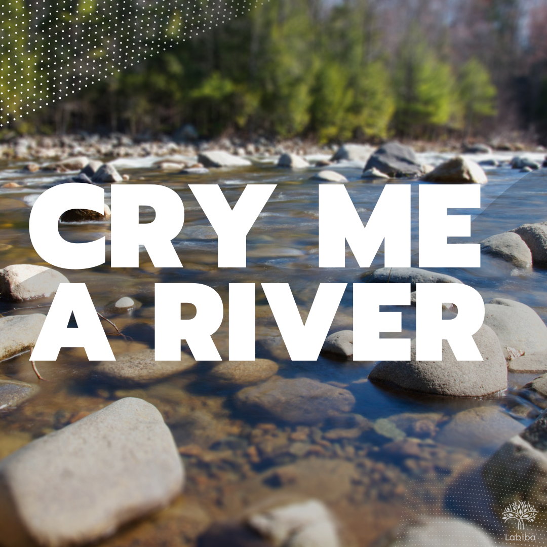 You are currently viewing Cry Me A River: Water as a political means