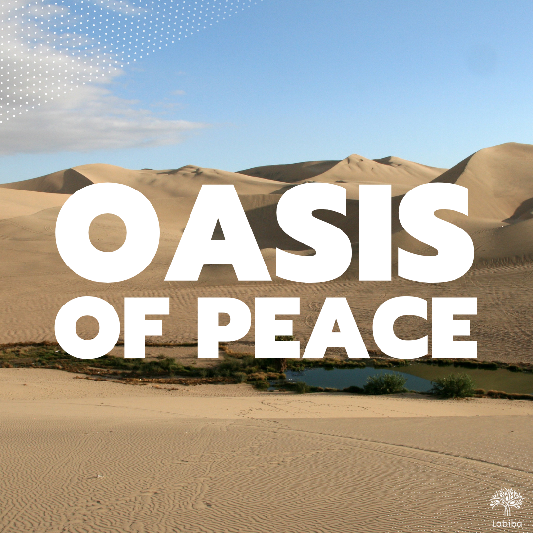 Read more about the article Oasis of Peace