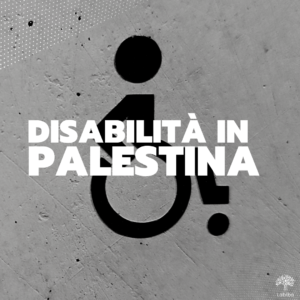 Scopri di più sull'articolo Disabilità in Palestina