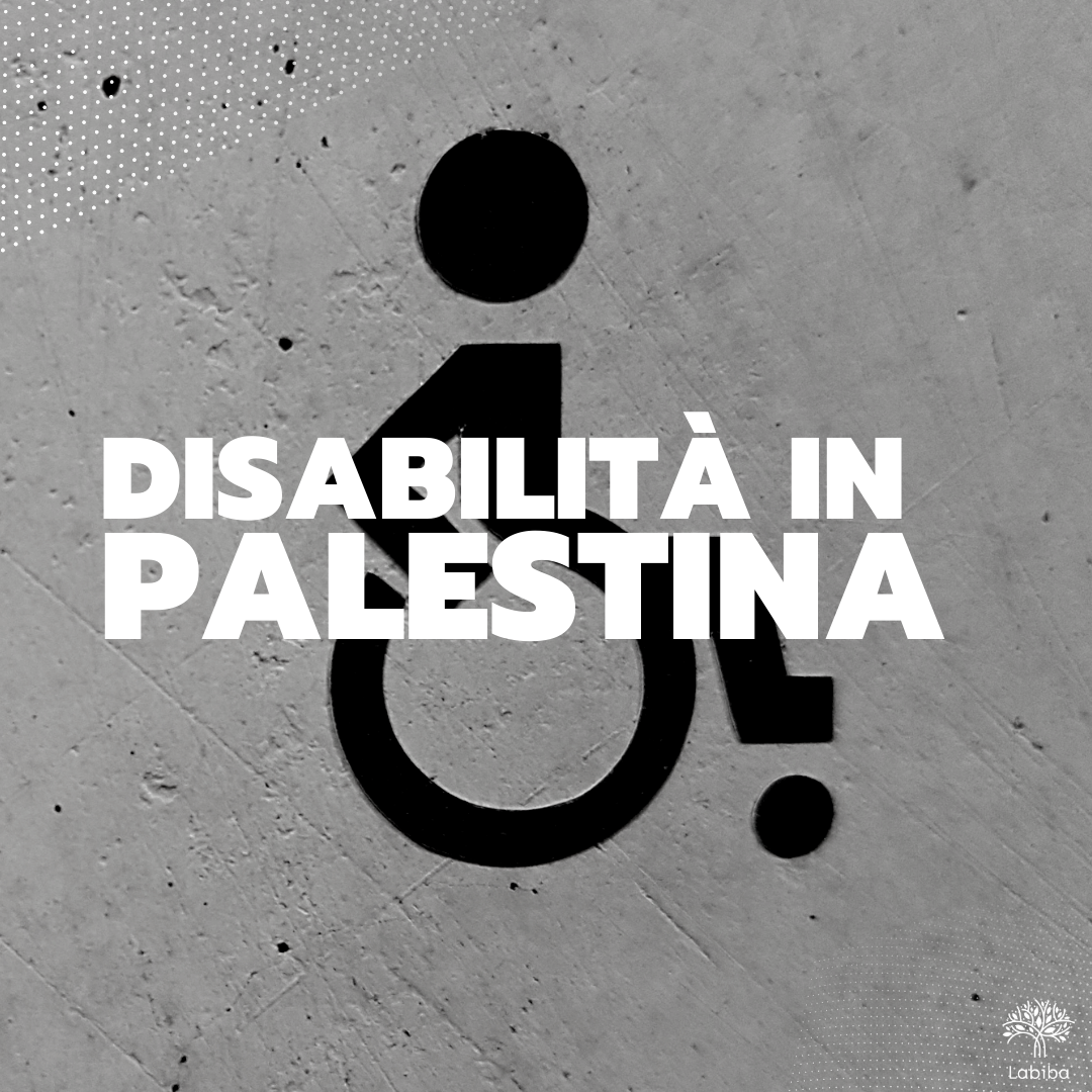 Al momento stai visualizzando Disabilità in Palestina