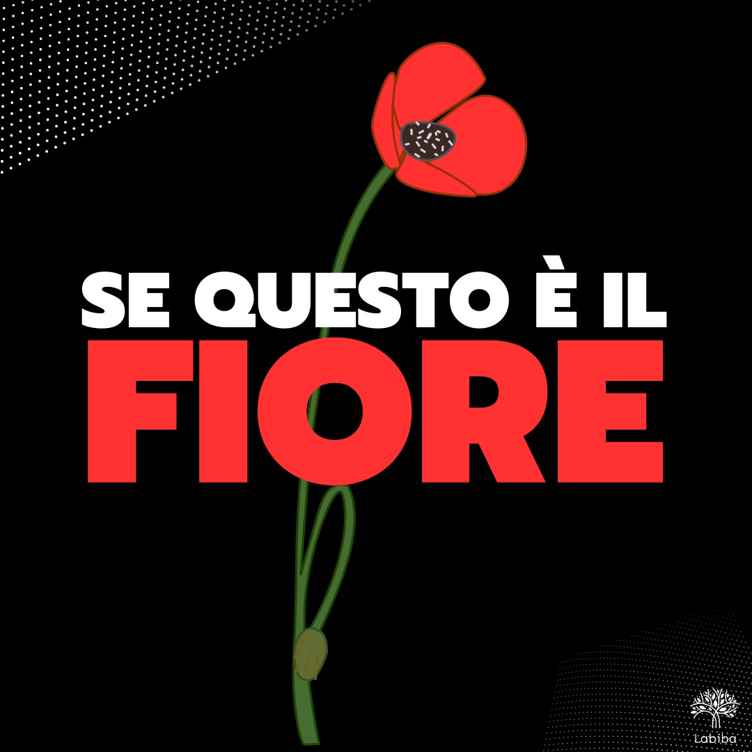 Scopri di più sull'articolo Se questo è il fiore