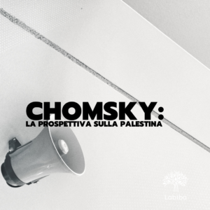 Scopri di più sull'articolo Chomsky: la prospettiva sulla Palestina