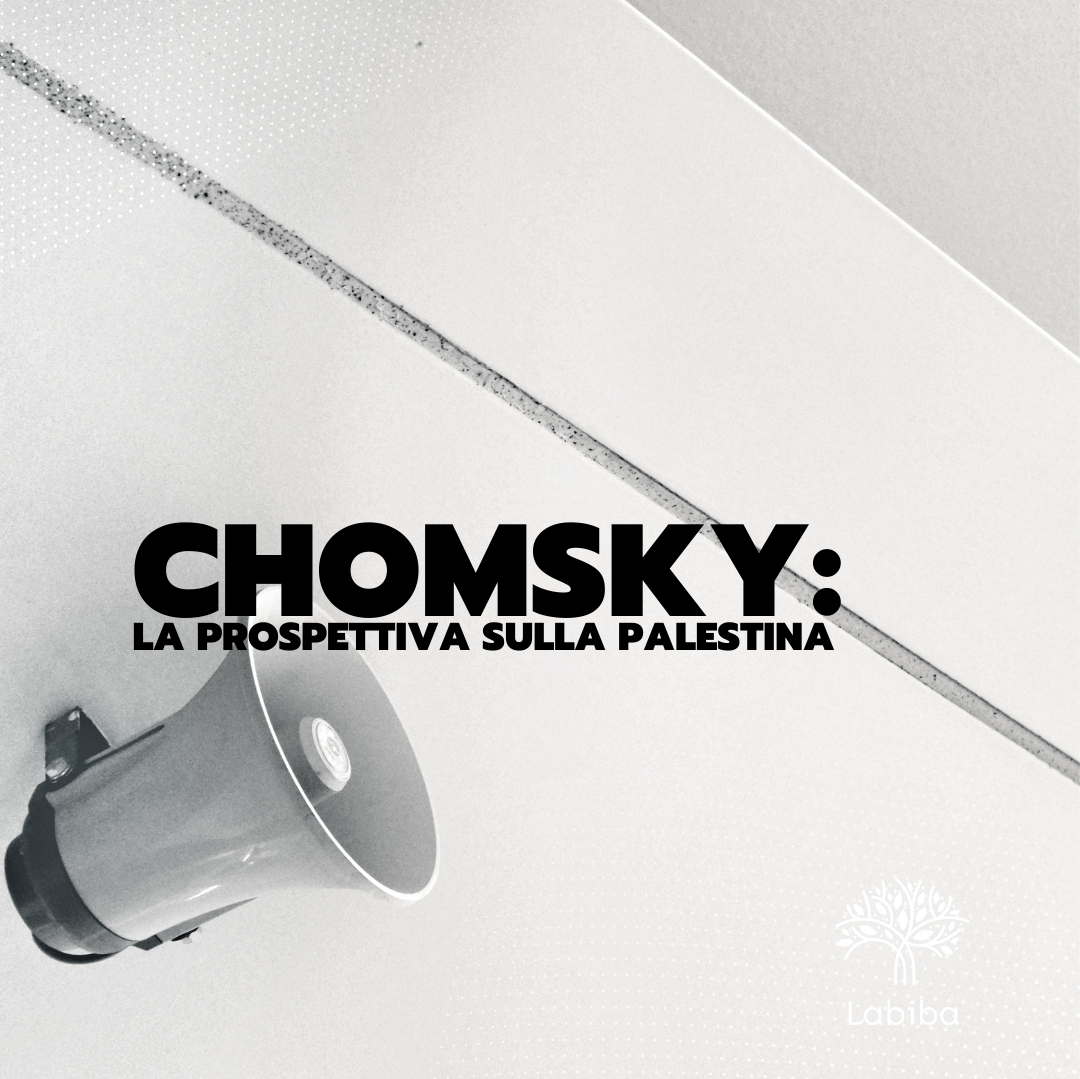 Al momento stai visualizzando Chomsky: la prospettiva sulla Palestina