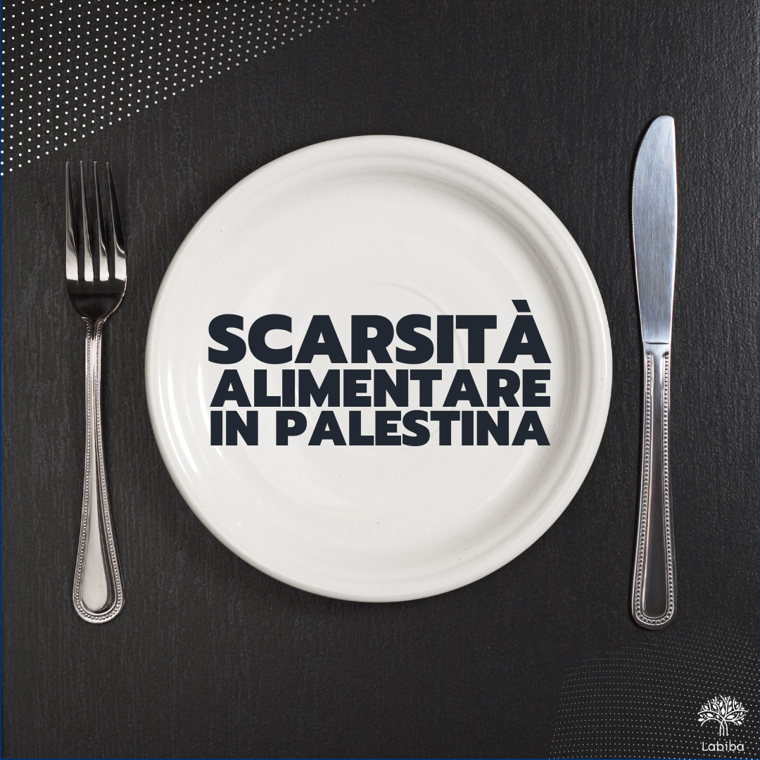 Scopri di più sull'articolo Scarsità alimentare in Palestina