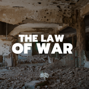 Read more about the article The Law of War